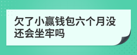 欠了小赢钱包六个月没还会坐牢吗