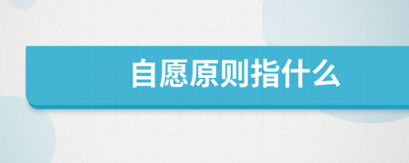 自愿原则指什么