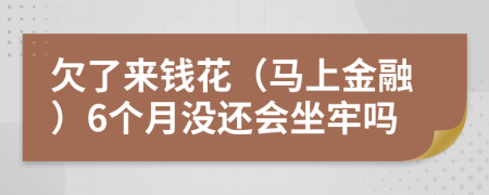 欠了来钱花（马上金融）6个月没还会坐牢吗