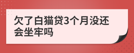 欠了白猫贷3个月没还会坐牢吗