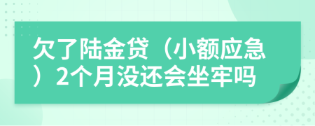 欠了陆金贷（小额应急）2个月没还会坐牢吗