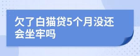 欠了白猫贷5个月没还会坐牢吗