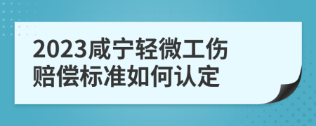 2023咸宁轻微工伤赔偿标准如何认定