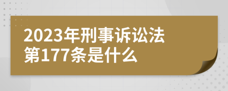 2023年刑事诉讼法第177条是什么