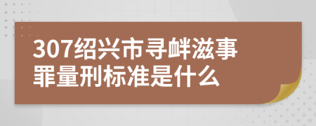 307绍兴市寻衅滋事罪量刑标准是什么