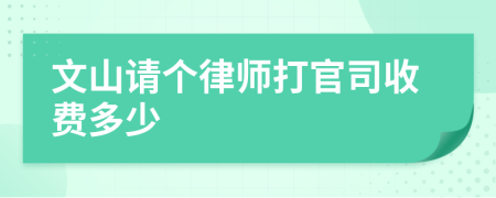 文山请个律师打官司收费多少