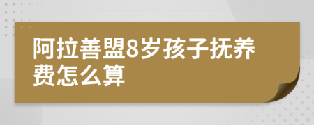 阿拉善盟8岁孩子抚养费怎么算