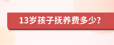 13岁孩子抚养费多少？