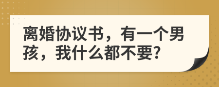 离婚协议书，有一个男孩，我什么都不要?