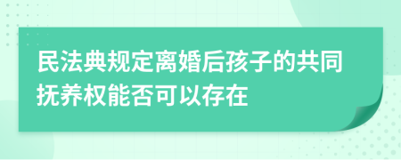 民法典规定离婚后孩子的共同抚养权能否可以存在