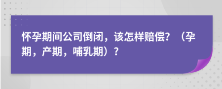 怀孕期间公司倒闭，该怎样赔偿？（孕期，产期，哺乳期）?