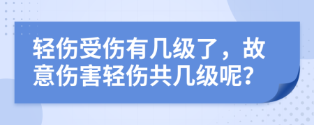 轻伤受伤有几级了，故意伤害轻伤共几级呢？