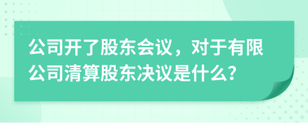 公司开了股东会议，对于有限公司清算股东决议是什么？