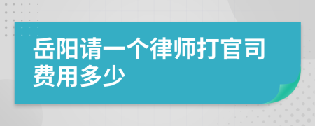 岳阳请一个律师打官司费用多少