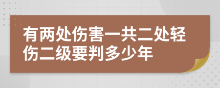 有两处伤害一共二处轻伤二级要判多少年