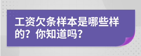 工资欠条样本是哪些样的？你知道吗？