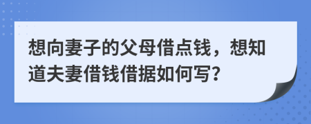 想向妻子的父母借点钱，想知道夫妻借钱借据如何写？
