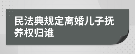 民法典规定离婚儿子抚养权归谁