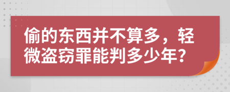 偷的东西并不算多，轻微盗窃罪能判多少年？