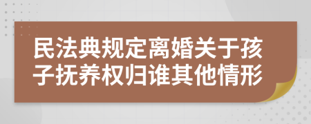 民法典规定离婚关于孩子抚养权归谁其他情形