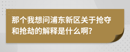 那个我想问浦东新区关于抢夺和抢劫的解释是什么啊？