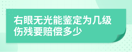 右眼无光能鉴定为几级伤残要赔偿多少