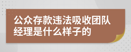 公众存款违法吸收团队经理是什么样子的