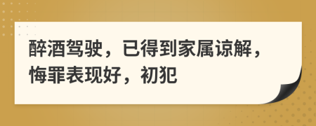醉酒驾驶，已得到家属谅解，悔罪表现好，初犯