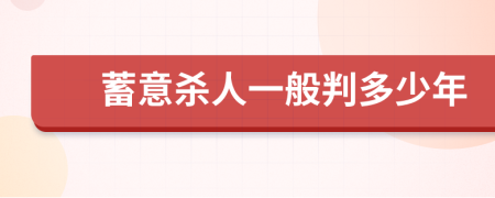 蓄意杀人一般判多少年