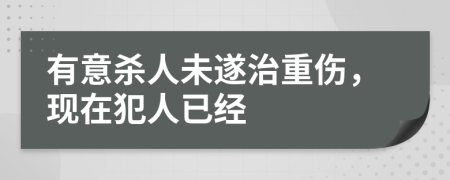 有意杀人未遂治重伤，现在犯人已经