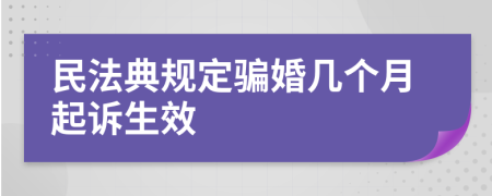 民法典规定骗婚几个月起诉生效