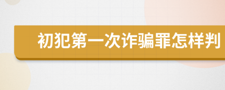 初犯第一次诈骗罪怎样判