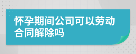 怀孕期间公司可以劳动合同解除吗