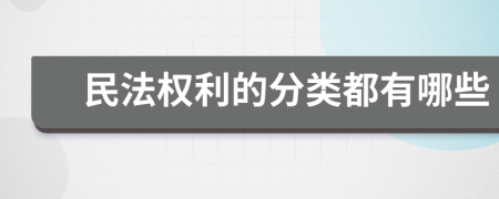 民法权利的分类都有哪些