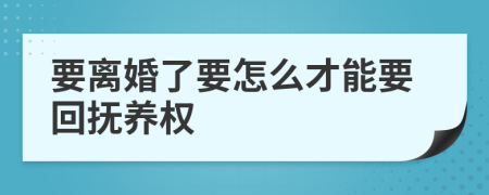 要离婚了要怎么才能要回抚养权