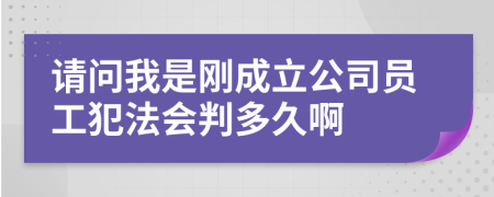 请问我是刚成立公司员工犯法会判多久啊