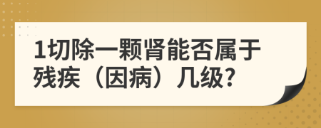 1切除一颗肾能否属于残疾（因病）几级?