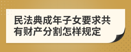 民法典成年子女要求共有财产分割怎样规定