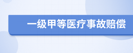 一级甲等医疗事故赔偿