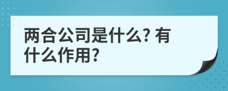 两合公司是什么? 有什么作用?