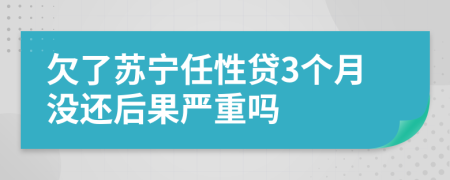欠了苏宁任性贷3个月没还后果严重吗