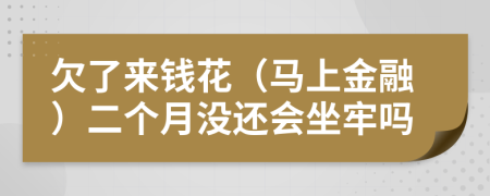 欠了来钱花（马上金融）二个月没还会坐牢吗