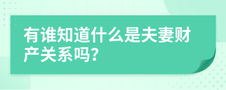 有谁知道什么是夫妻财产关系吗？