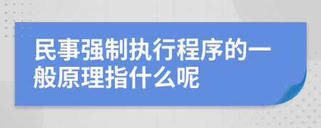 民事强制执行程序的一般原理指什么呢