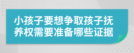 小孩子要想争取孩子抚养权需要准备哪些证据