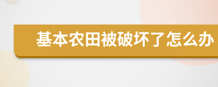 基本农田被破坏了怎么办