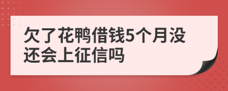 欠了花鸭借钱5个月没还会上征信吗