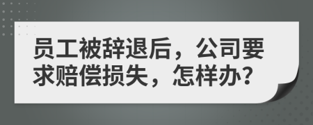 员工被辞退后，公司要求赔偿损失，怎样办？