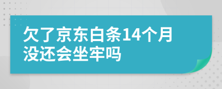 欠了京东白条14个月没还会坐牢吗