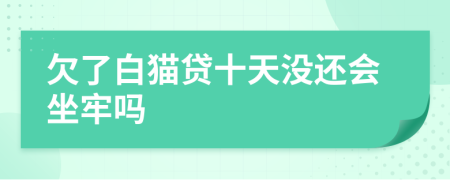 欠了白猫贷十天没还会坐牢吗